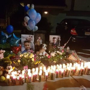 Meet your Posher, Rose